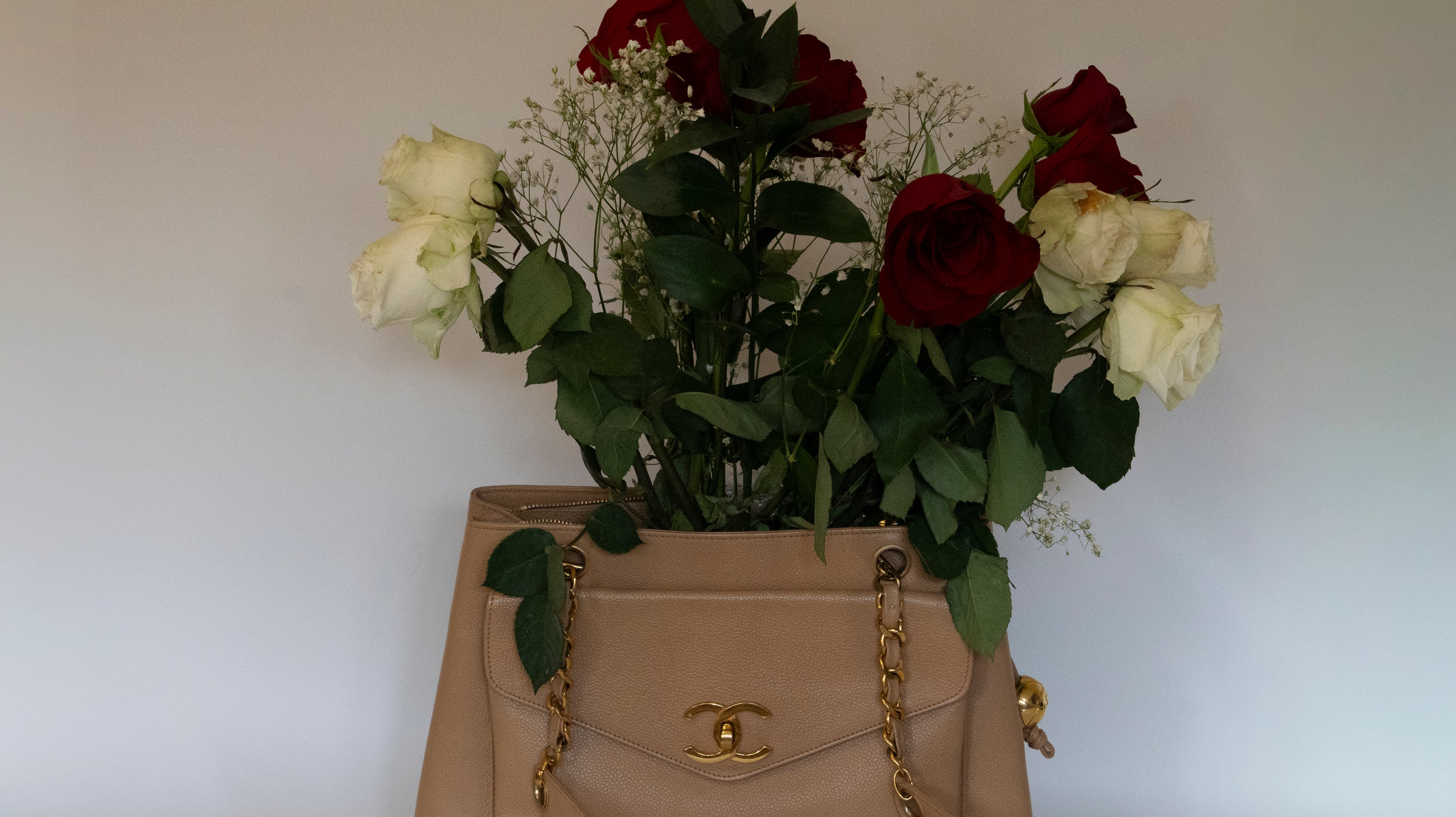 A beige Chanel handbag filled with red and white roses and greenery against a plain background.